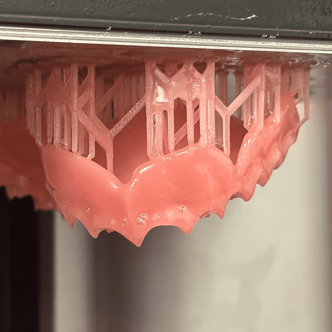 Vita Vionic Base Resin Impact résine 3D rose 1 kg