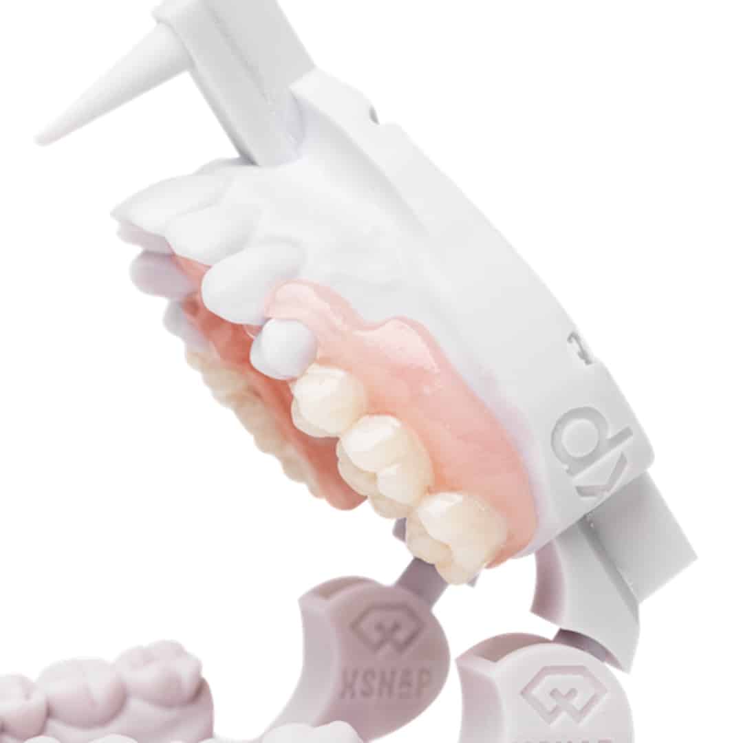 Detax Freeprint dx denture flex résine 3D rose transparent 1kg