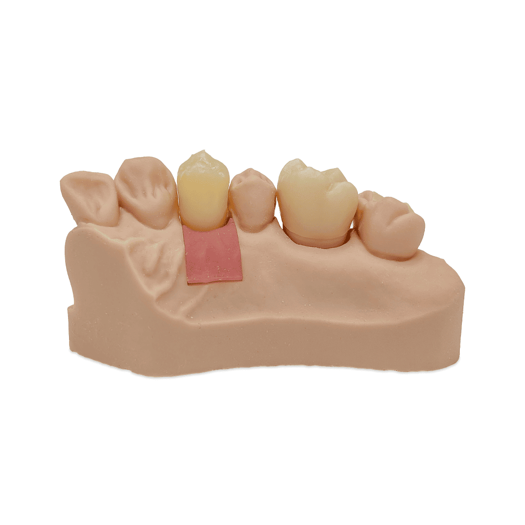 Liqcreate Dental Model Pro résine 3D beige