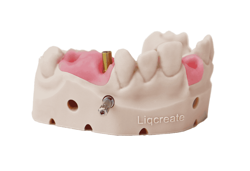 Liqcreate Gingiva Mask résine 3D dentaire souple gencive