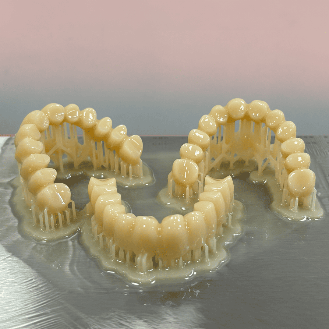 Vita Vionic Dent résine dentaire 0.5 kg dents prothétiques