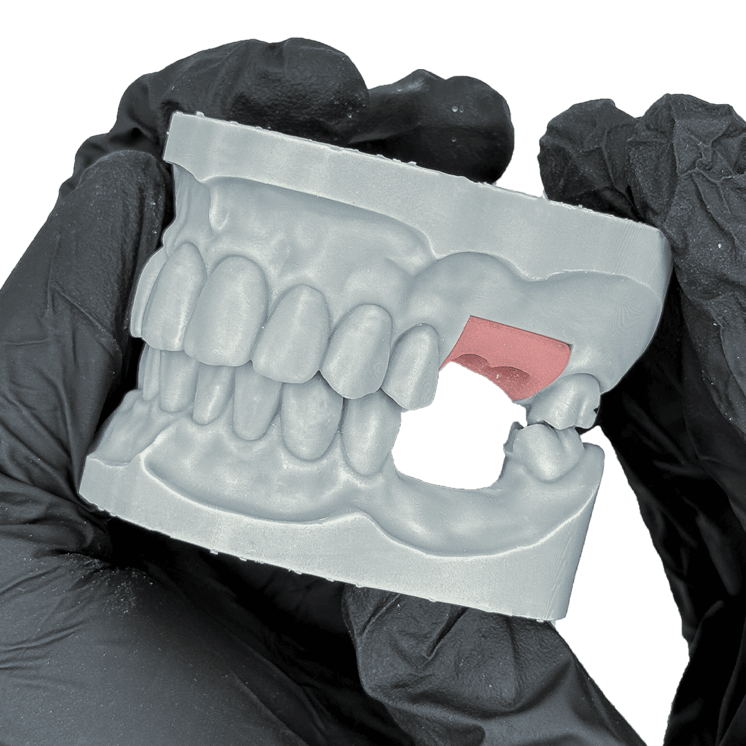 Liqcreate Dental Model Pro résine 3D grise modèle précision