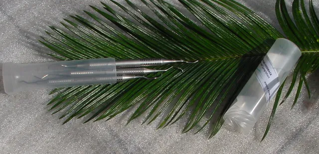 Aimar FDM Bost Curette Resco Traitement Bost
