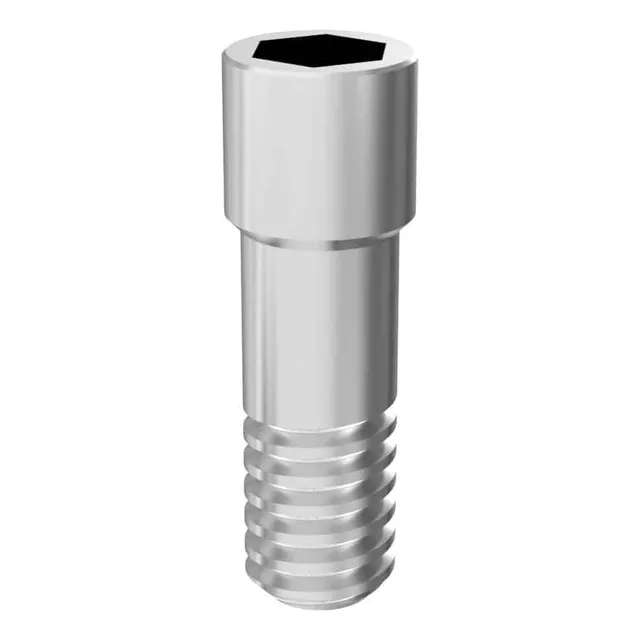 Arum3D Internal Screw vis implantaire Platon lot de 10