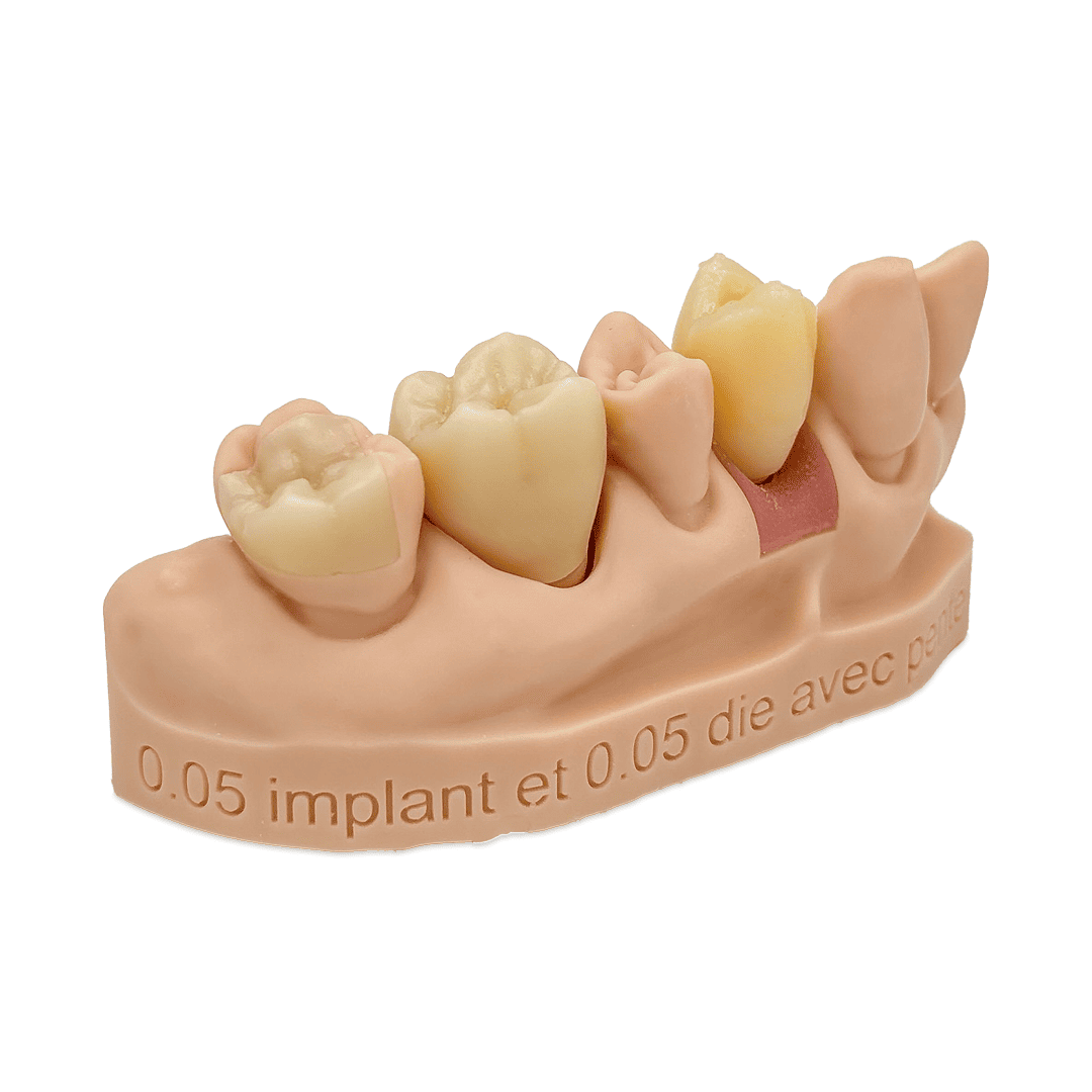 Aidite Dental Model résine 3D dentaire Almond modèle implantaire