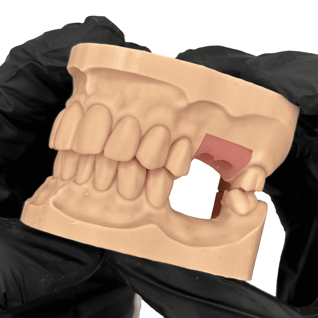 Liqcreate Dental Model Pro résine 3D beige