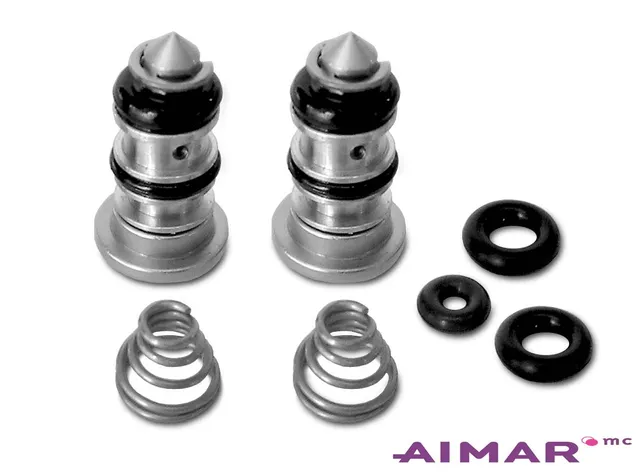 Aimar Kit réparation seringue 2-700 pièce détachée