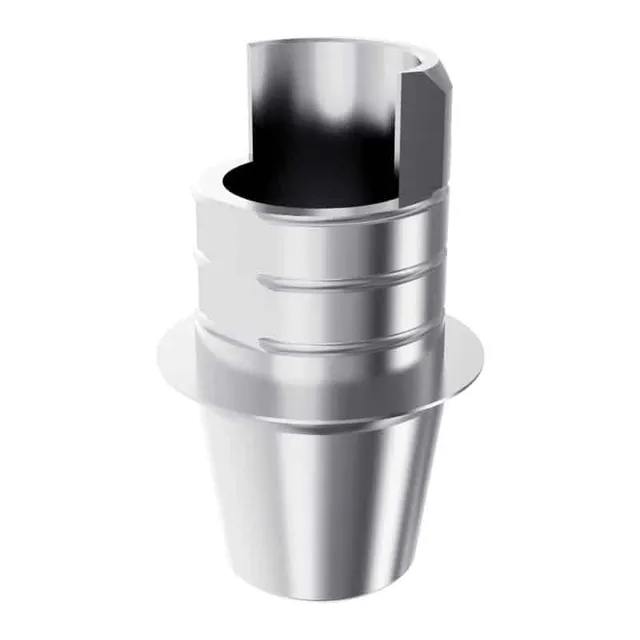 Arum3D Internal Ti Base ST courte embase engaging EBI Octa