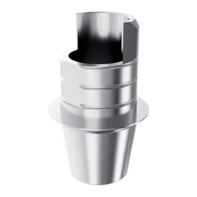 Arum3D Internal Ti Base ST courte embase engaging EBI Octa