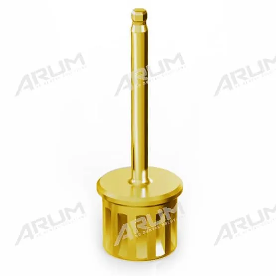 Arum3D Ball Screw Driver Hex tournevis dentaire 22 mm angulé