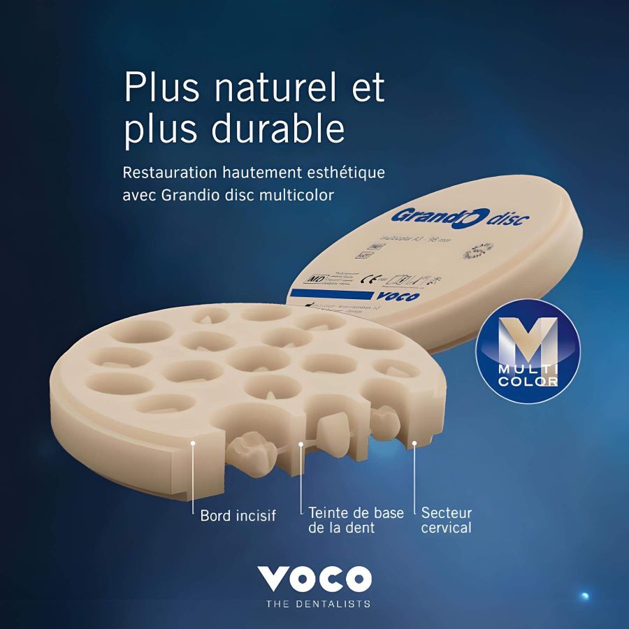 Voco Grandio Disc Multicolor disque composite nanohybride 15mm