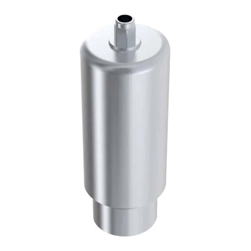 Arum Arum3D Internal Premill Blank 10mm pilier titane WP 5.0 engaging