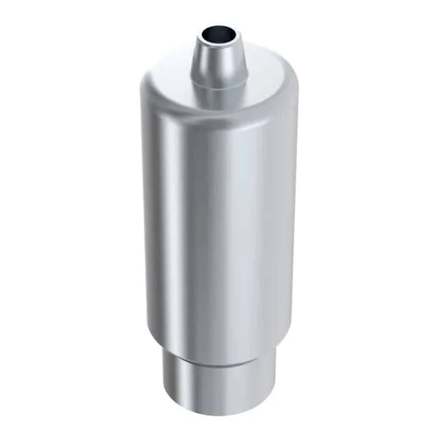 Arum Arum3D Premill Blank 10mm TL pilier titane EBI TL