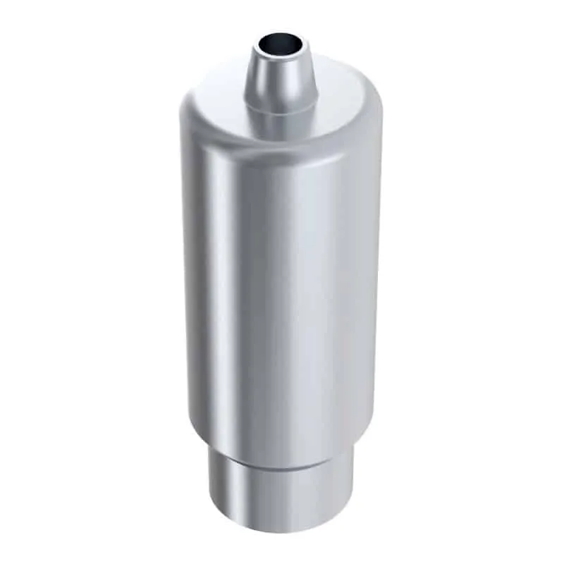 Arum Arum3D Premill Blank 10mm TL pilier titane EBI TL