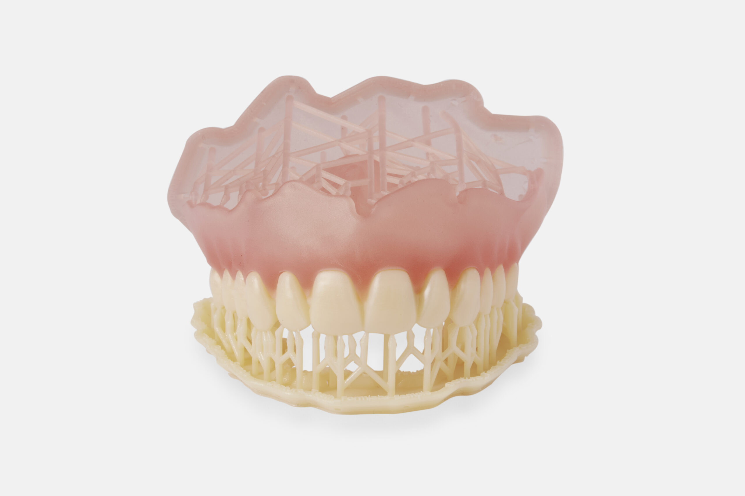 Formlabs Denture Teeth résine 1L dents prothétiques