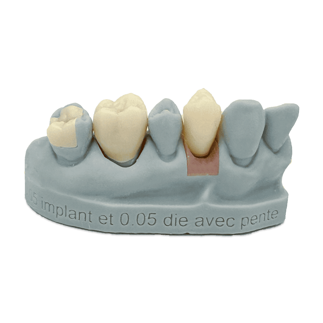 Liqcreate Dental Model Pro résine 3D grise modèle précision