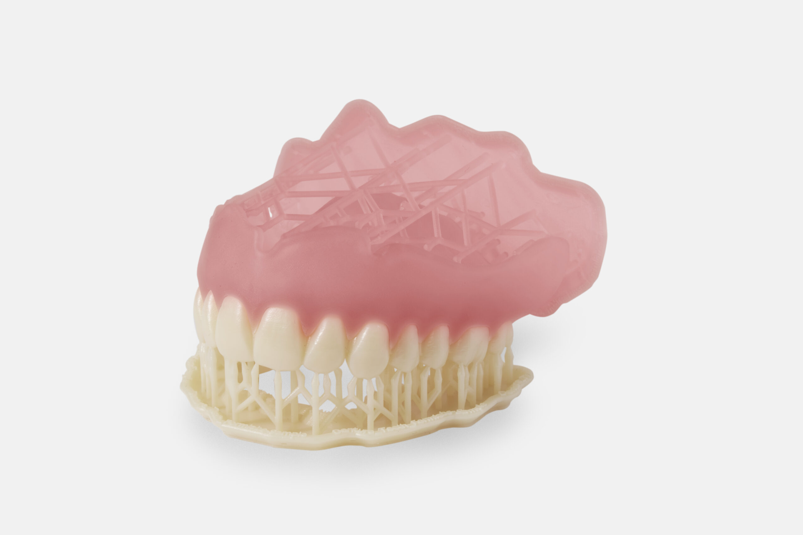 Formlabs Denture Teeth résine 1L dents prothétiques