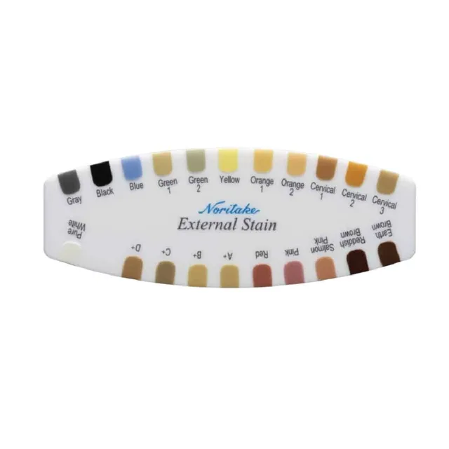 Noritake ES Color Guide teintier céramique