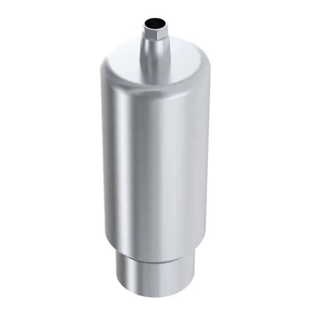 Arum Premill Blank 10mm engaging pilier Global D tekka