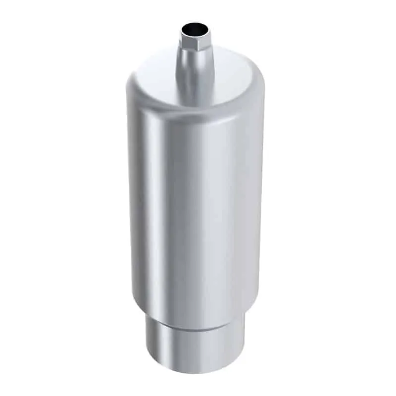 Arum Premill Blank 10mm engaging pilier Global D tekka