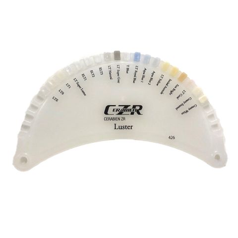 Noritake Color Guide 426 CZR Luster teintier céramique