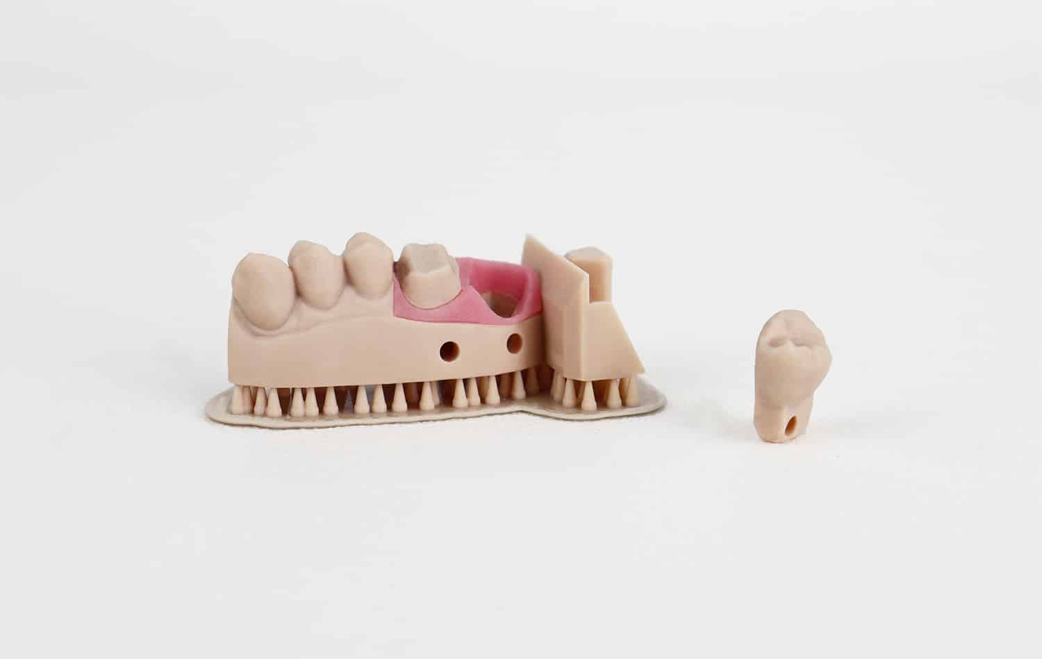 Liqcreate Gingiva Mask résine 3D dentaire souple gencive