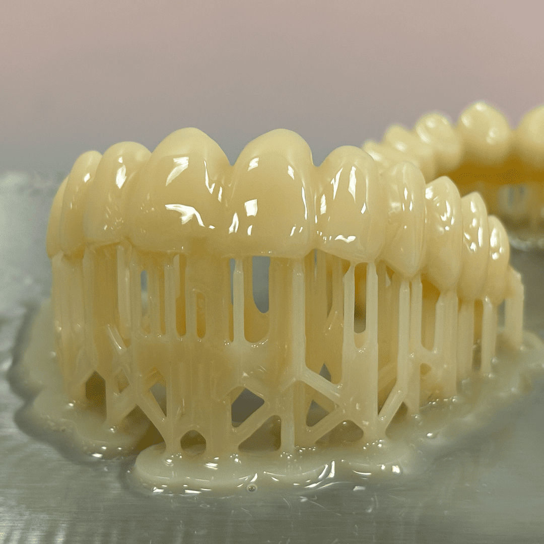 Vita Vionic Dent résine dentaire 0.5 kg dents prothétiques