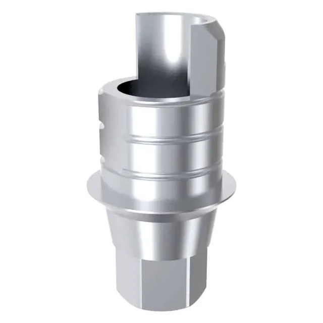 Arum Arum3D Internal Ti-Base 3.1 pilier Zimmer Eztetic