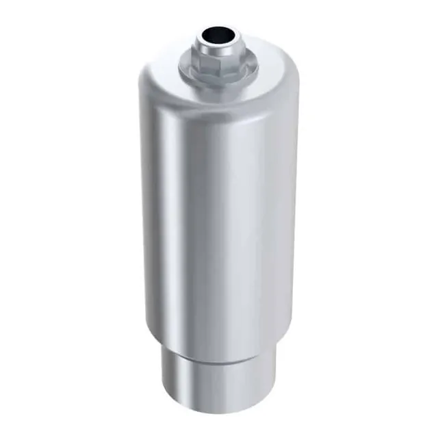 Arum Internal Premill Blank pilier 10mm NeoBiotech IT