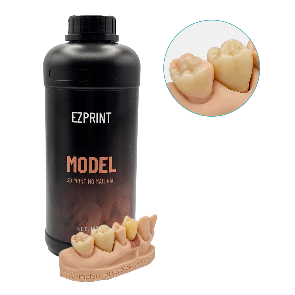 Aidite Dental Model résine 3D dentaire Almond modèle implantaire