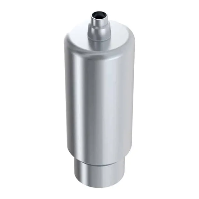 Arum Premill Blank 10mm RP pilier titane non-engaging MIS C1