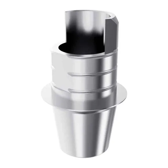 Arum3D Ti Base Short C2 pilier titane EBI Octa engaging