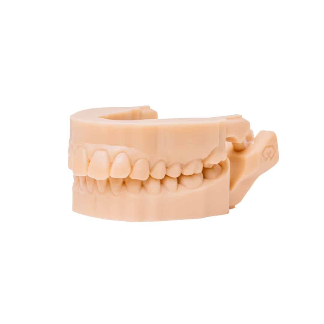 Detax Freeprint dx model pro résine modèle dentaire caramel