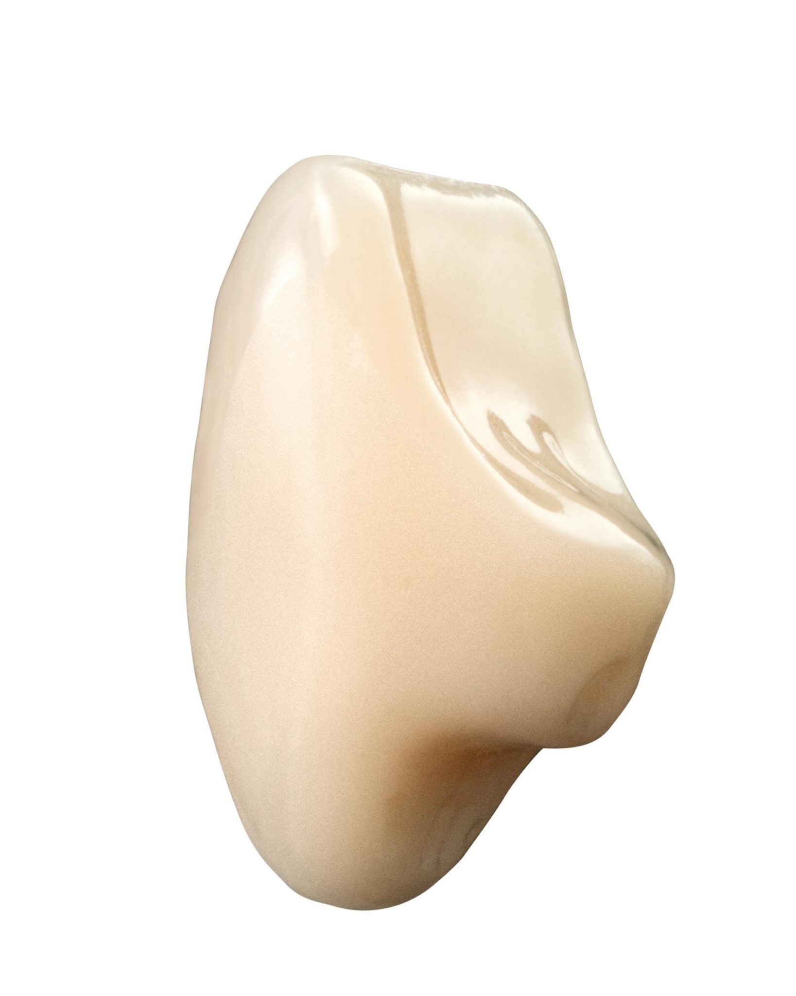 Vita Vionic Vigo Posterior dents prothétiques postérieures numériques