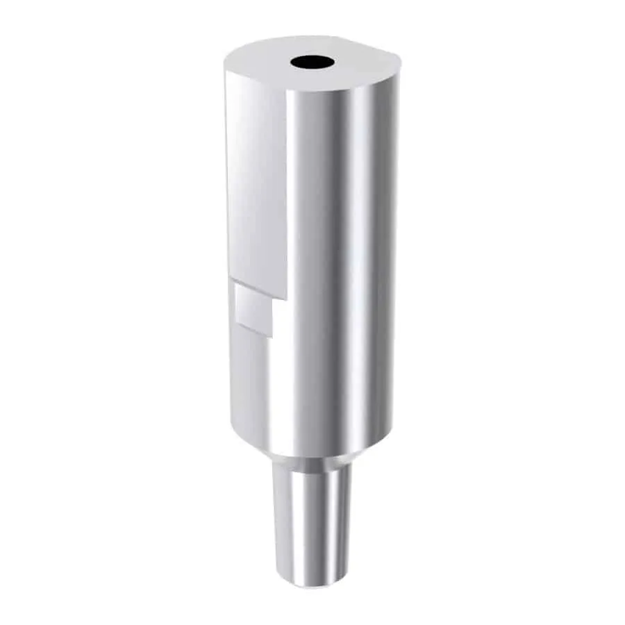 Arum3D Internal Scanbody 2.5 pilier de numérisation Bicon