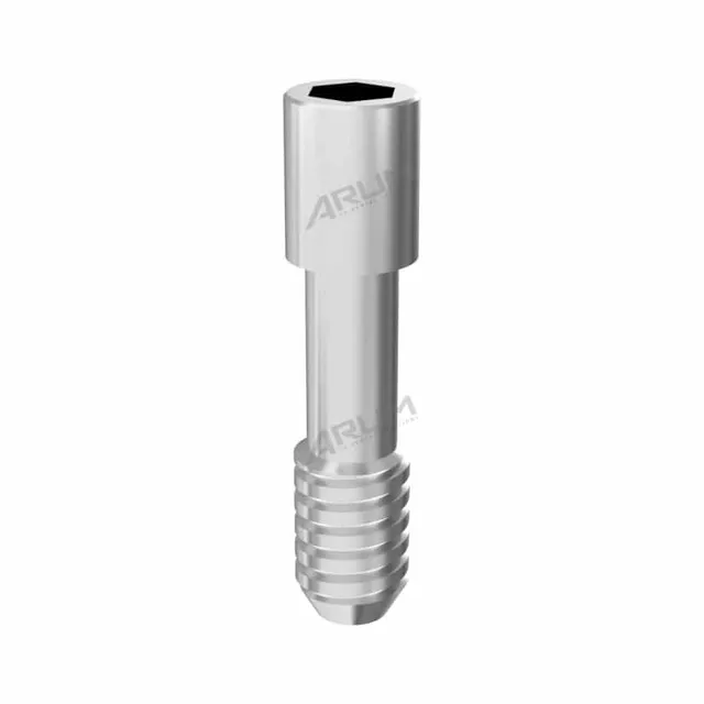 Arum PS105 Internal Screw vis Zimmer Screw-Vent pack 10