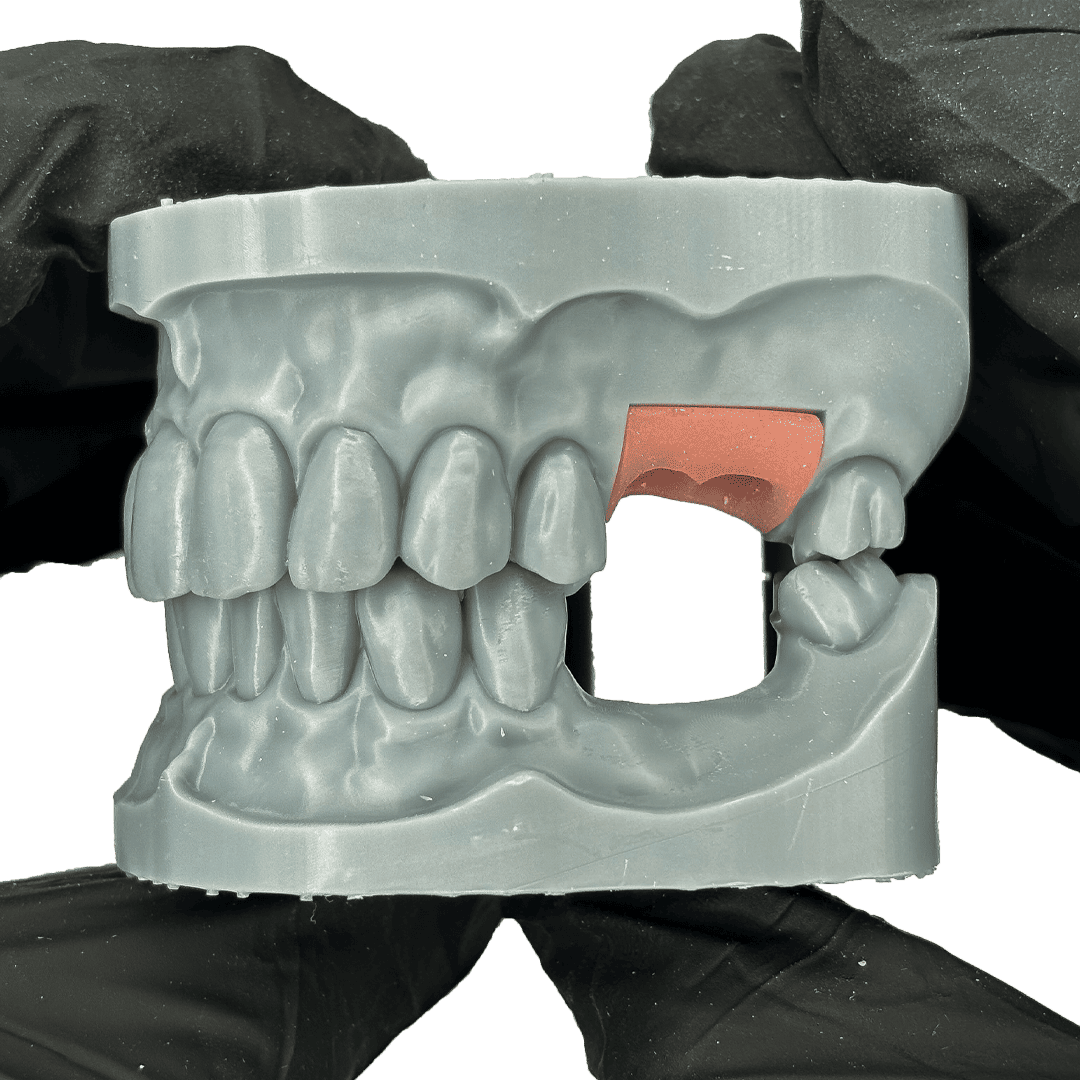 Aidite Dental Model Grey résine 3D grise modèle dentaire