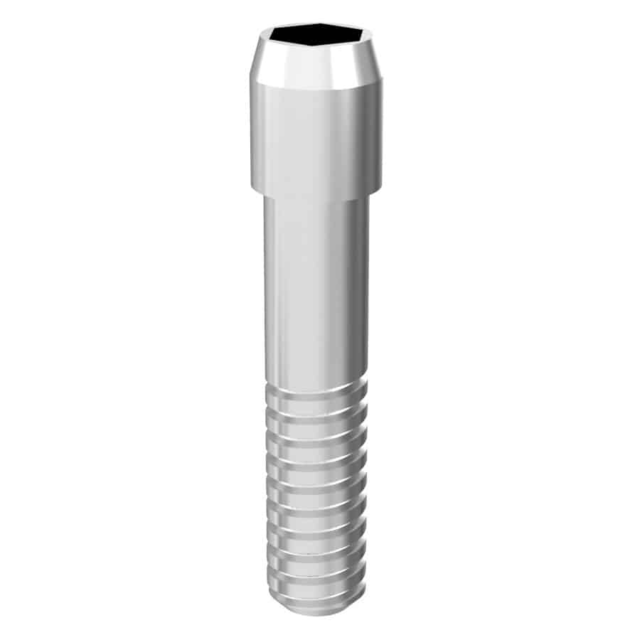 Arum3D Internal Screw vis SIC Invent lot de 10