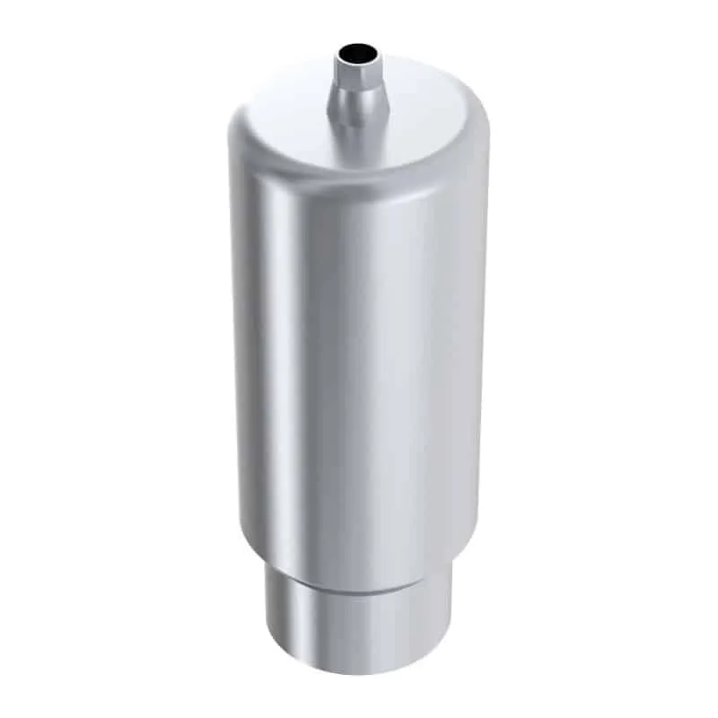 Arum Internal Premill Blank 10mm NP pilier titane DIO UF