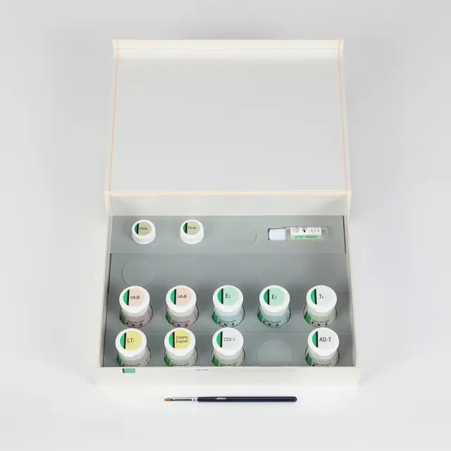 EX-3 N Color Intro Kit céramique dentaire 102g