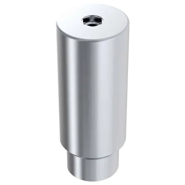 Arum Premill Blank 10mm 6.0 pilier titane Southern External engaging
