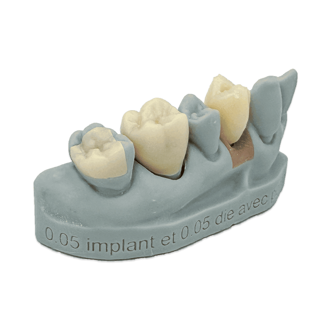 Liqcreate Dental Model Pro résine 3D grise modèle précision