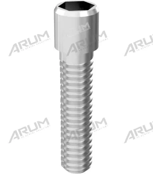 Arum External Screw 4.1/5.0 vis externe lot 10