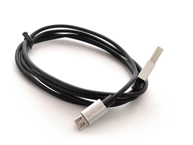DermLite Batteries & Chargers câble charge micro USB 1m