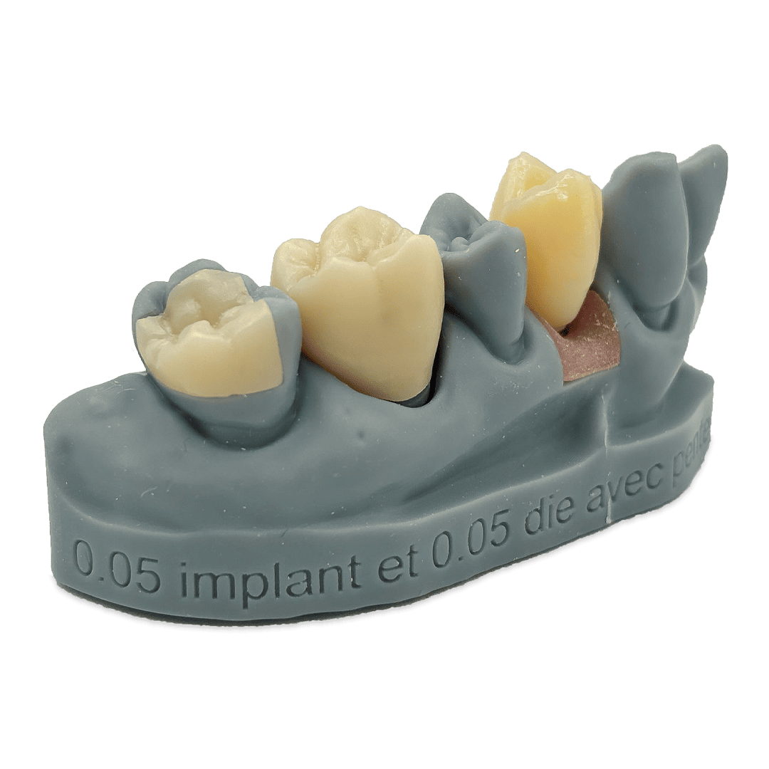 Aidite Dental Model Grey résine 3D grise modèle dentaire