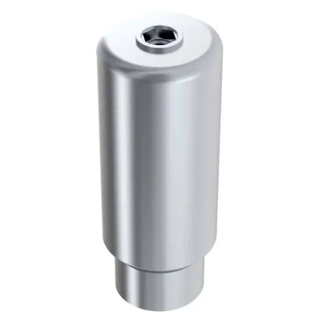 Arum External Premill Blank 10mm NP pilier titane Osstem US