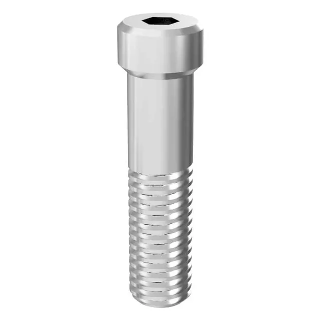 Arum Internal Screw Rescue vis prothétique MegaGen Rescue