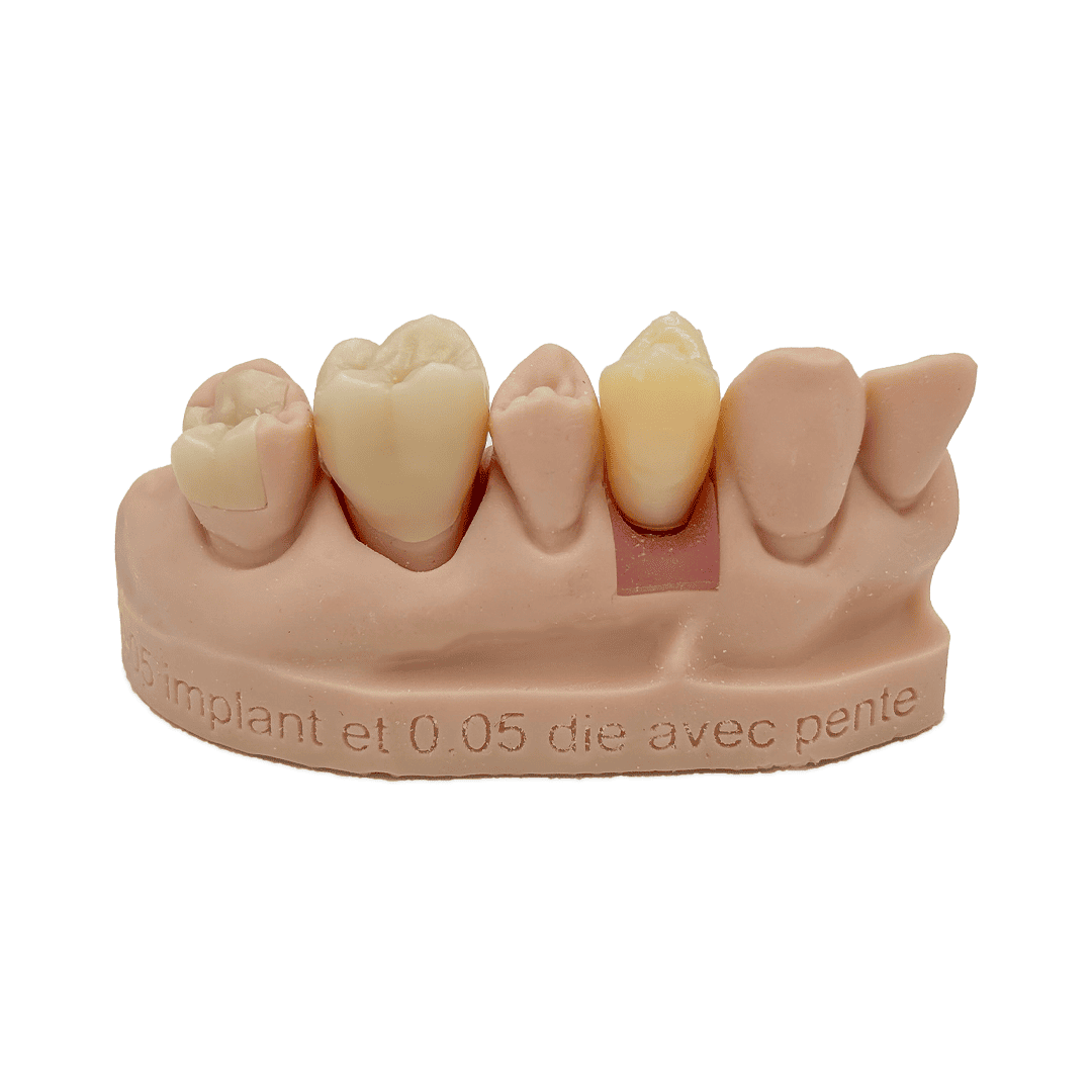 Liqcreate Dental Model Pro résine 3D beige
