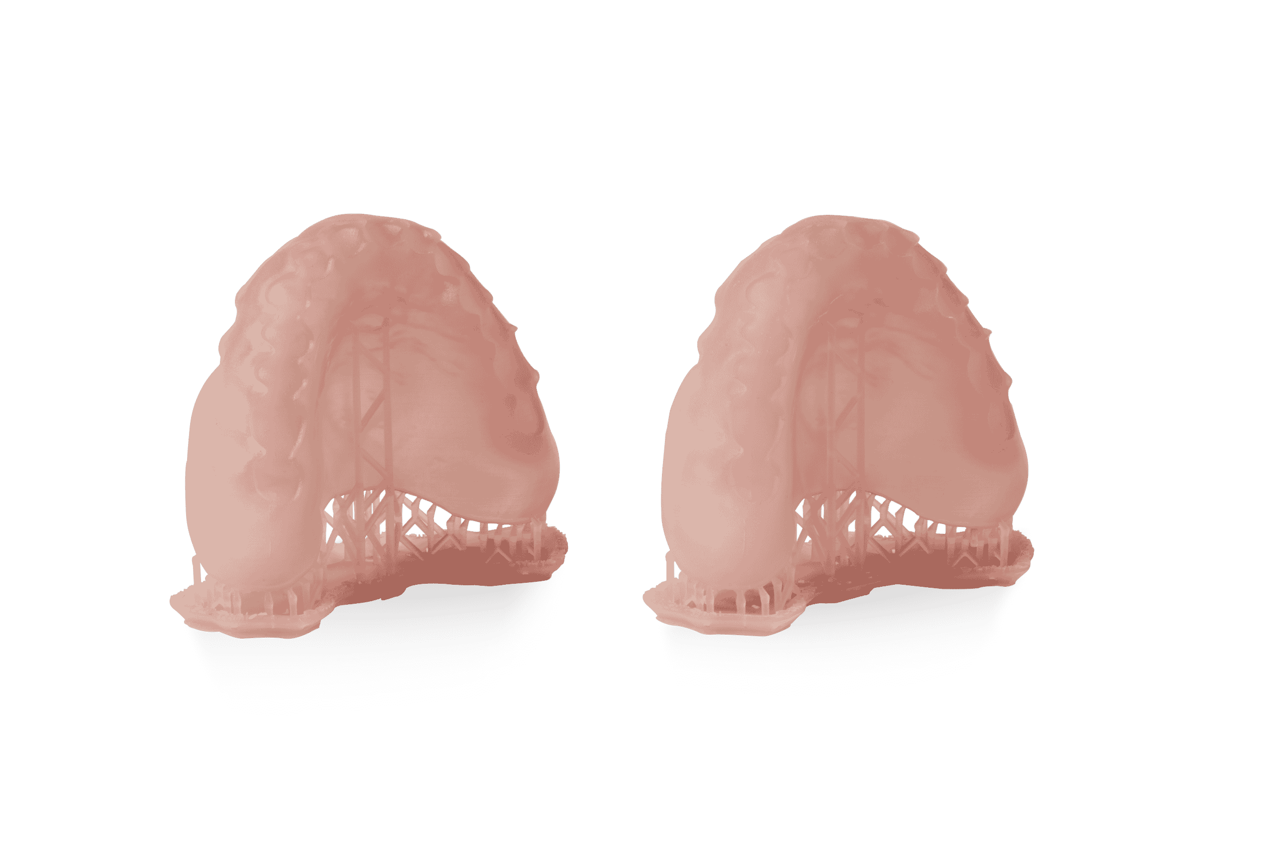 Formlabs Denture Base résine 3D OP 1L biocompatible