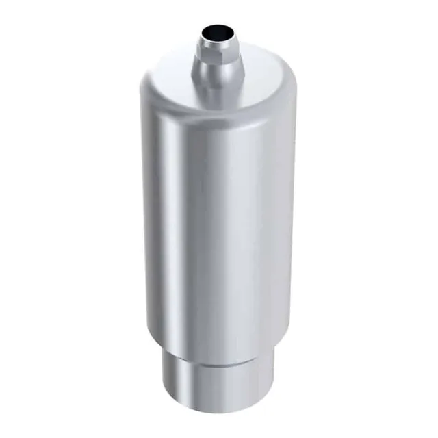Arum Premill Blank 10 mm Dentium pilier titane